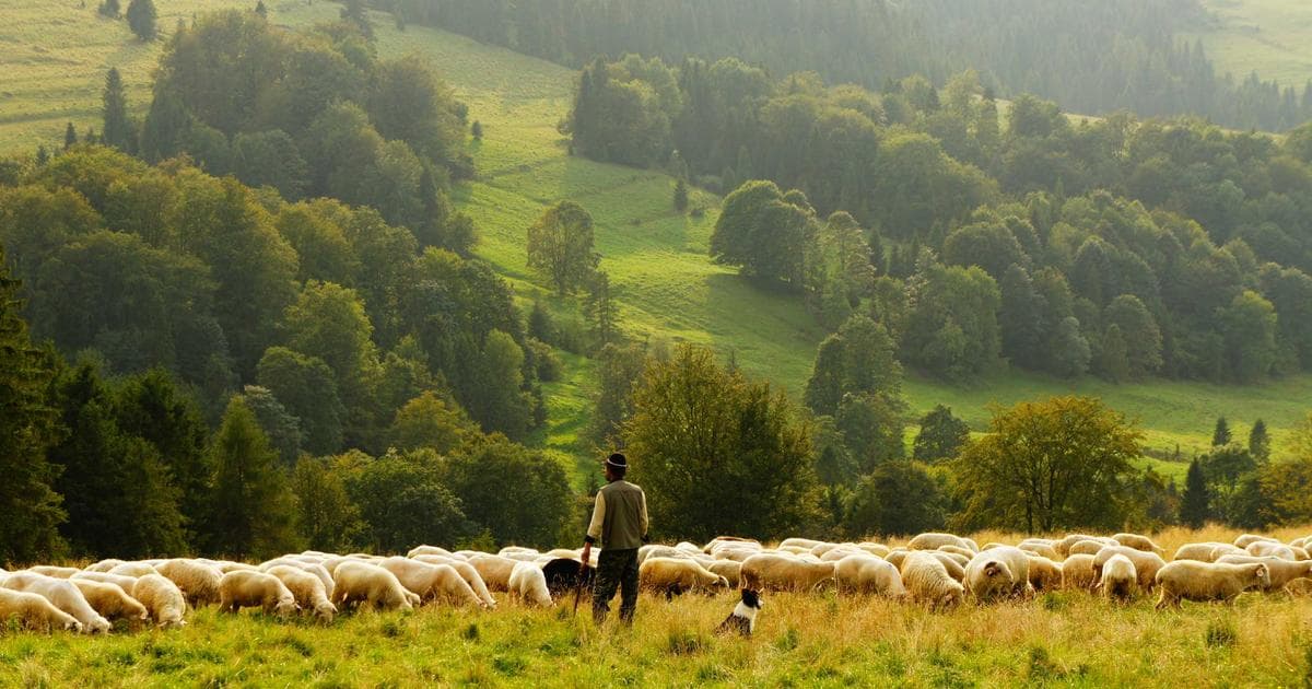 Müşteri Güveni Kazanmanın 5 Yolu